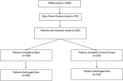 A Prospective Comparative Study of Health Inequalities and the Epidemiology of Stroke in French Guiana and Dijon, France